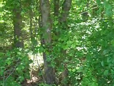 owner financed land, Land with owner financing