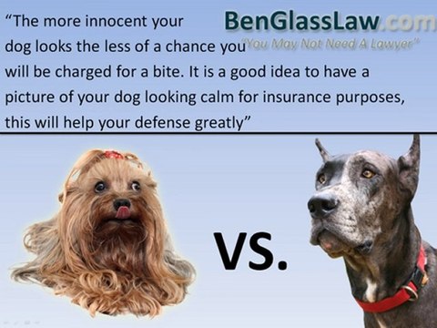 Fairfax Attorney - Do I pay if my dog bites?
