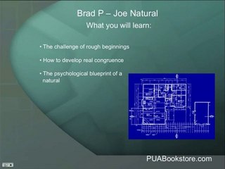 Brad P an Interview with Joe Natural Review - How to Seduce