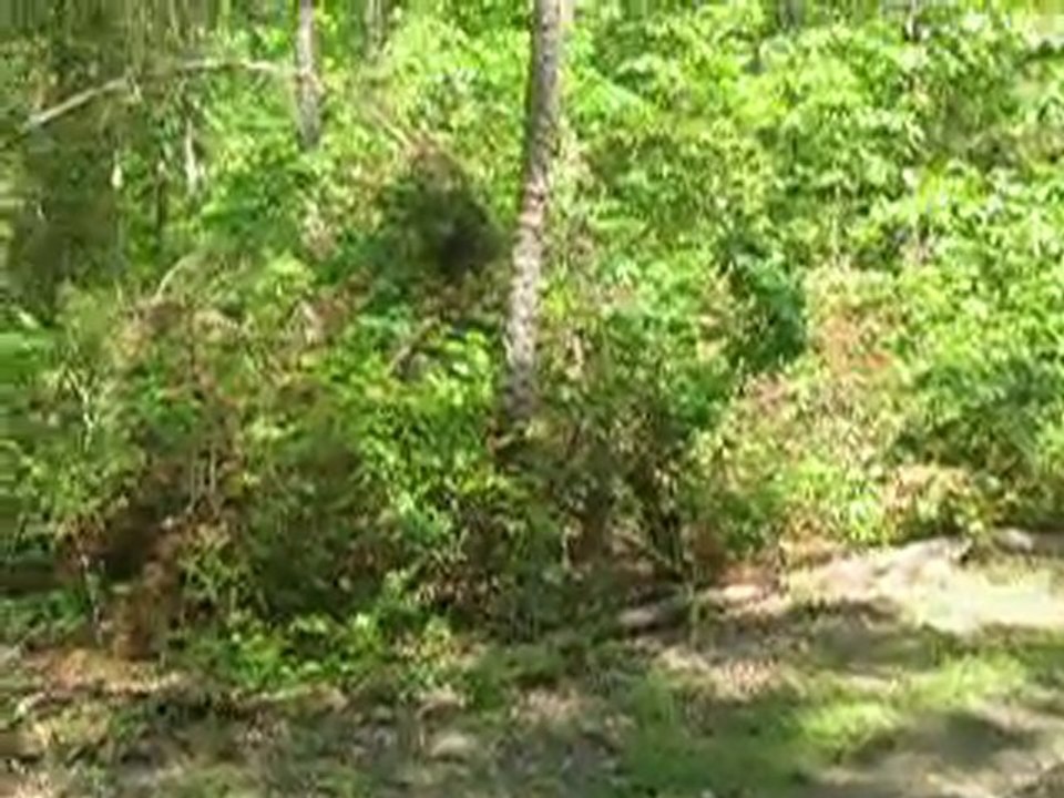 owner financed land, Land with owner financing