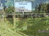 Fitzgerald's Landscaping   Natural Lawn Care