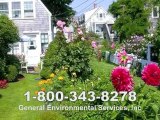 Mosquito Removal | Get rid of Mosquitoes in MA
