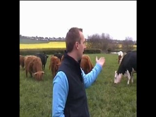 Buy Meat Online-Whats the Importance of Free Range Farming