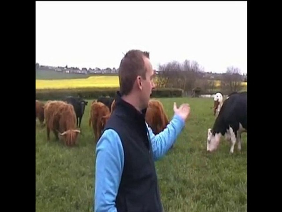 Buy Meat Online-Whats the Importance of Free Range Farming