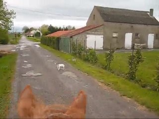 balade au bord de l'eau