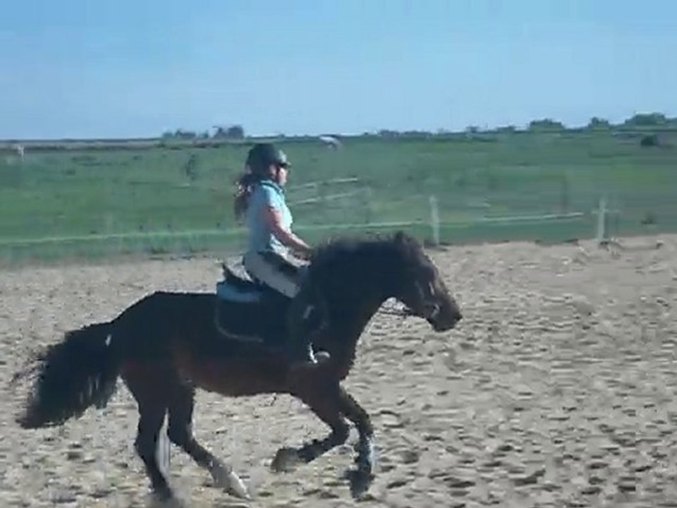 malibu et moi o galop