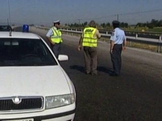Plague of frogs closes Greek highway