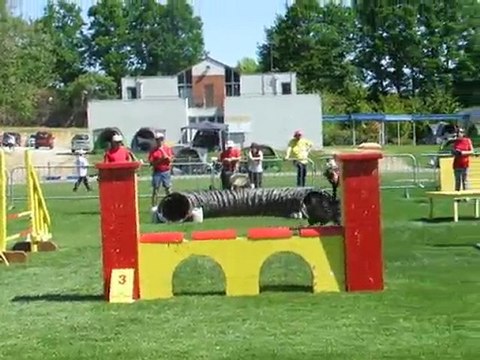 Volcan agility 1 Trophée par équipe Limoges 2010