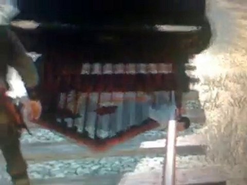 bug Red Dead redemption partie 1