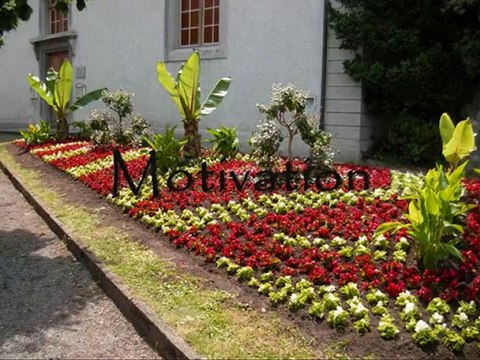 Présentation Aux Yeux Verts