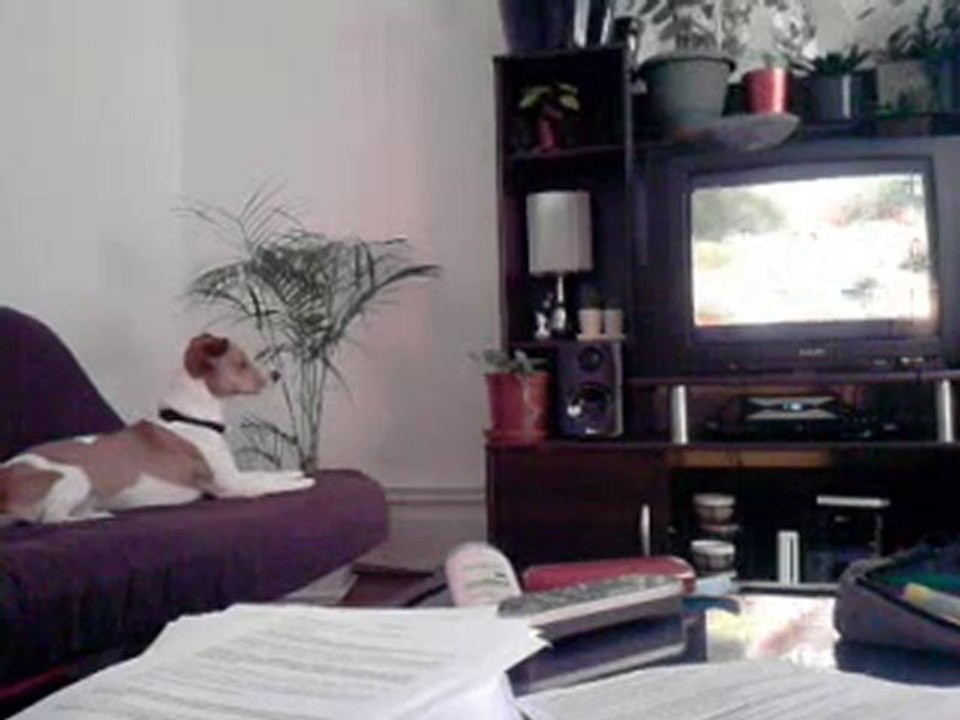 jacques devant 30 millions d'amis