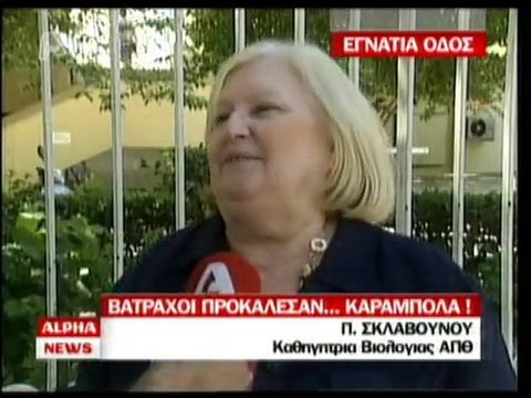 pagritianews Επιδρομή βατράχων στην Εγνατία