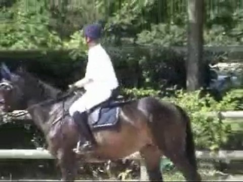 Quelle star Canteleu 1.10 24 mai 2010