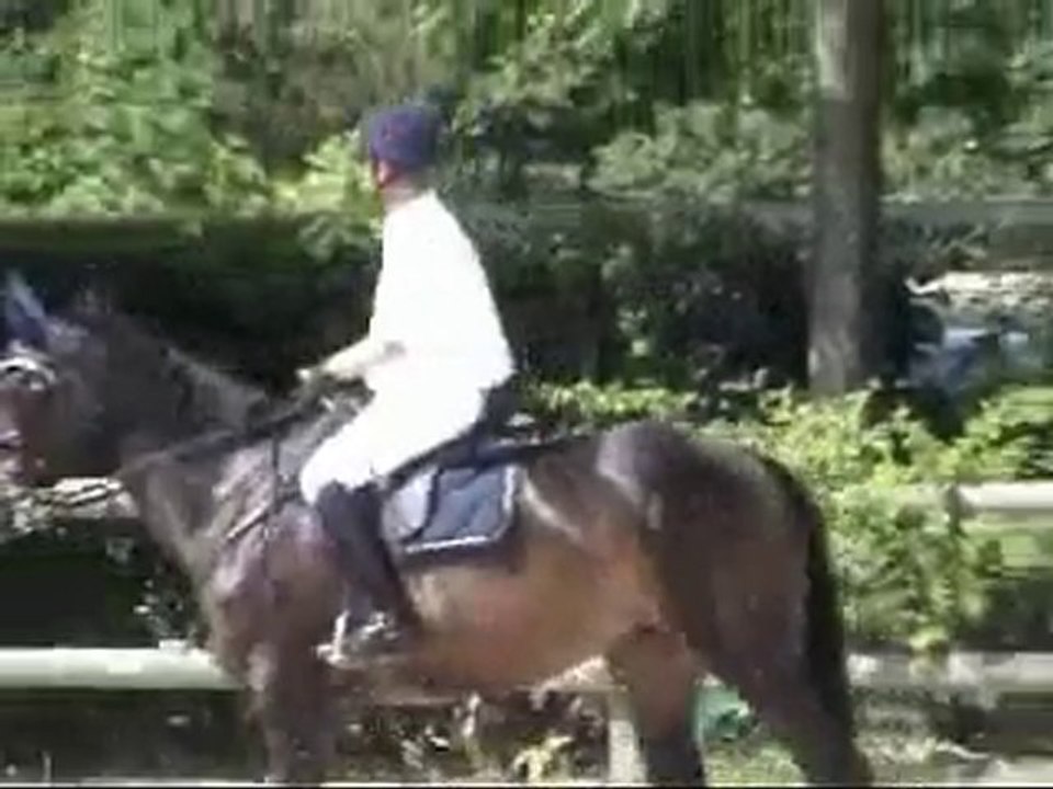 Quelle star Canteleu 1.10 24 mai 2010