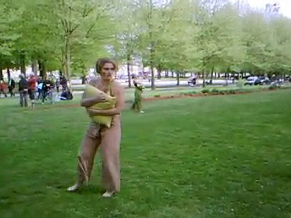 la fete des fleurs st quentin