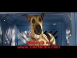 Watch Marmaduke Online Free Part 1/3