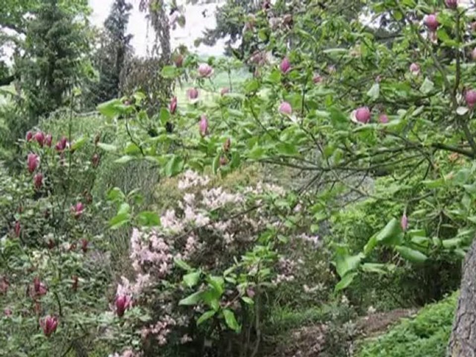 Arboretum Wojsławice 2010 -  Ogród Botaniczny