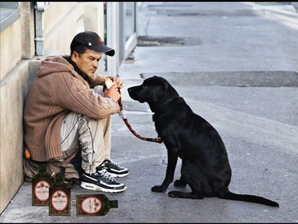 Taoufik Ben Brik le chien enragé de Tunisie