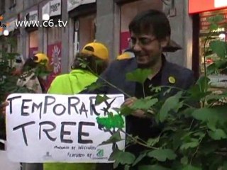 Basta auto, al loro posto alberi! Il blitz di Legambiente