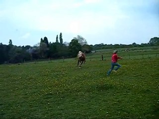 Lindy - Jeu en prairie (mai 2010)