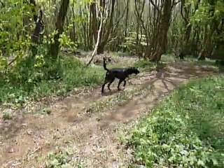 083Erko fait des trous