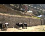 part 001 from kathmandu to lukla