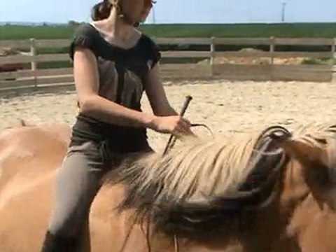 reverence monter + trot en cordelette