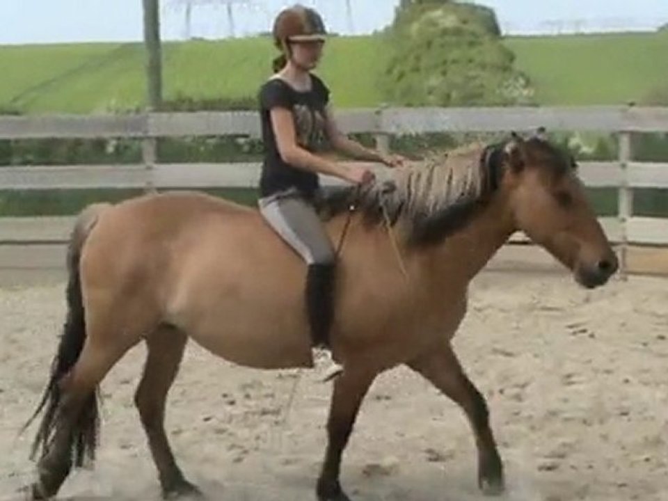 trot "aérien" ?? ^^