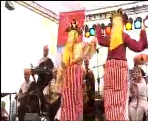 Latifa laaroussia.sahra