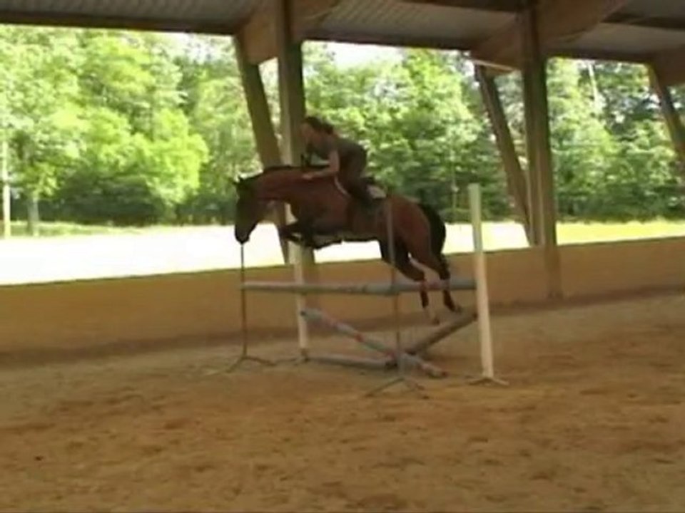 Quéribus de Plojen 27 mai 2010 obstacle