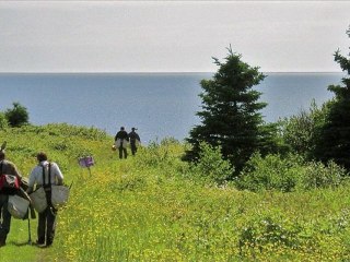 PIB - AU PAYS DU BOIS