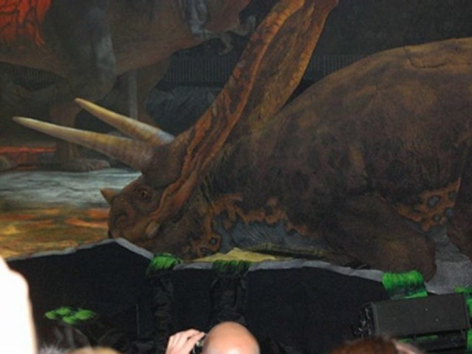 Spectacle Dinosaures 26 mai 2010