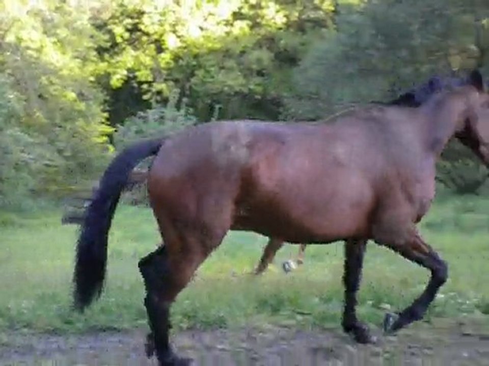 DSCN0035