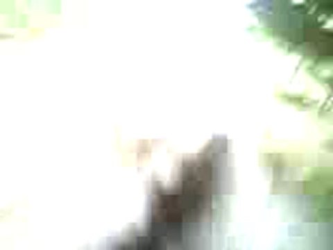 Rocco galop puis trot