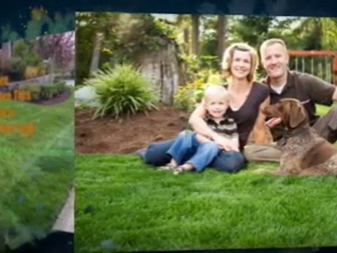 Winnipeg Lawn Services For Lawn Care and Weed Control