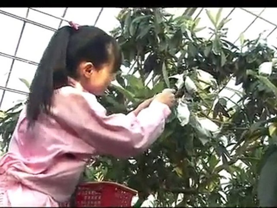 nanjya korya 124