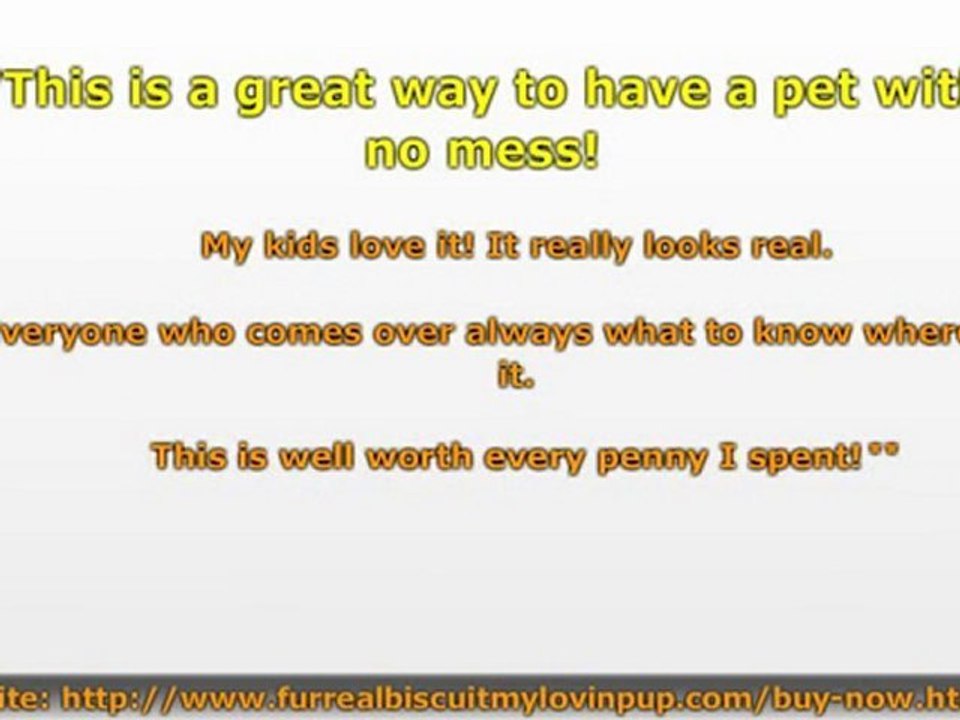 Fur Real Biscuit Pup Review