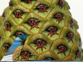 empreinte digitale du Designer