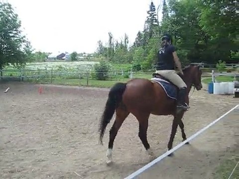 Ligne 3 foulées Copain