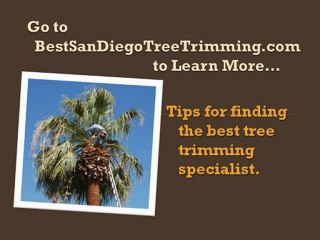 San Diego Tree Trimming
