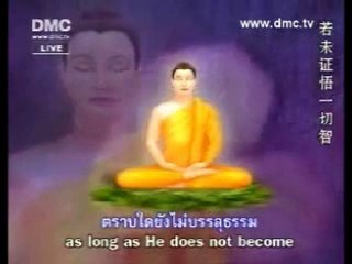 Dhammakaya Foundation DMC TV Visakha Puja Music Video