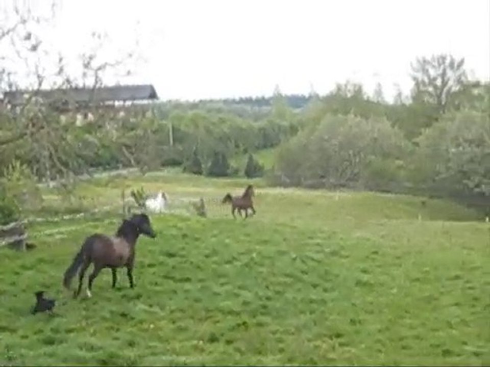 mes lous_0001