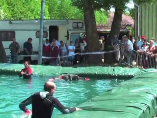 Prisches fête du chien 2010