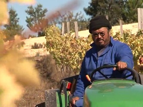Afrique du Sud : des townships à la viticulture