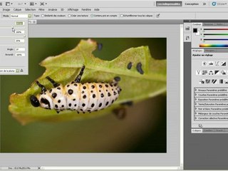 Tuto photoshop