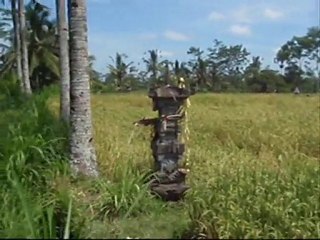 INDO TRIP 2010 - Kuta, Ubud, Mt Batur
