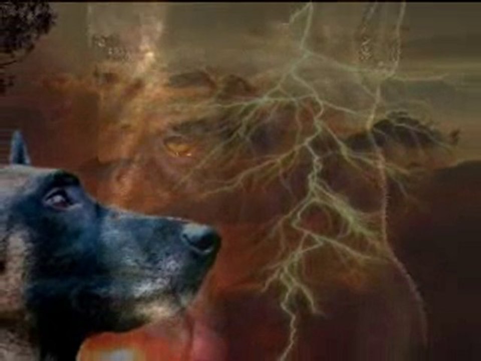 Unik du domaine d'orca