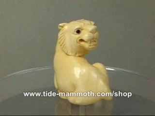 mammoth ivory netsuke animal Little Tiger N0506