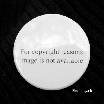 Droits d'auteur sur internet. Cession de droits : Comment ça marche