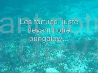 INDO TRIP 2010 - Les iles Gili (Lombok)